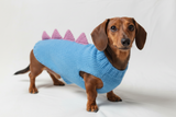 Dinosaur dragon  dog sweater zoo animal dog clothes