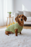 Dog dinosaur knitted clothes sweater, dinosaur sweater for dogs, original dog clothes dinosaur sweater