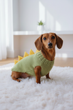 Dog dinosaur knitted clothes sweater, dinosaur sweater for dogs, original dog clothes dinosaur sweater