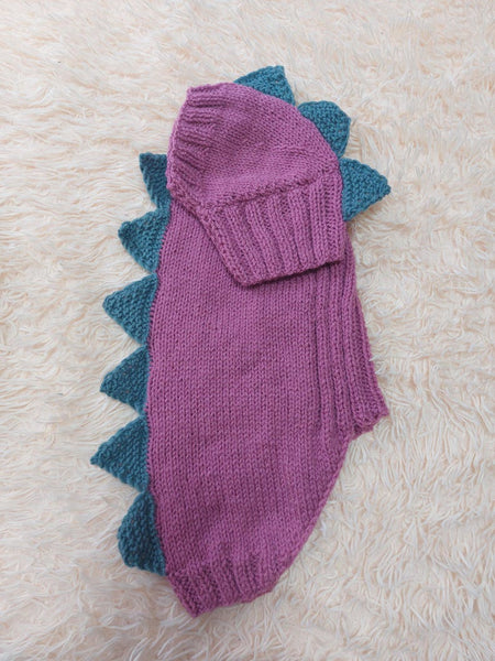 Dragon Dinosaur Winter Dog Clothes Costume Jumper and Hat