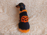 Dog costumes pumpkin sweater, dog costumes for halloween, pumpkin halloween costumes for pets, puppies, cat and dog sweater for halloween