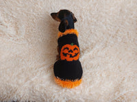 Dog costumes pumpkin sweater, dog costumes for halloween, pumpkin halloween costumes for pets, puppies, cat and dog sweater for halloween