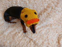 Duck dog clothes hat snood, dachshund snood Duck