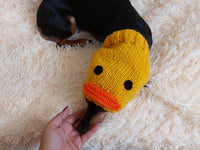 Duck dog clothes hat snood, dachshund snood Duck