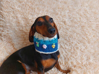 Wool scarf snood for dogs, scarf snood for small dogs, snood for dachshund, scarf for dachshund