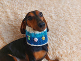Wool scarf snood for dogs, scarf snood for small dogs, snood for dachshund, scarf for dachshund
