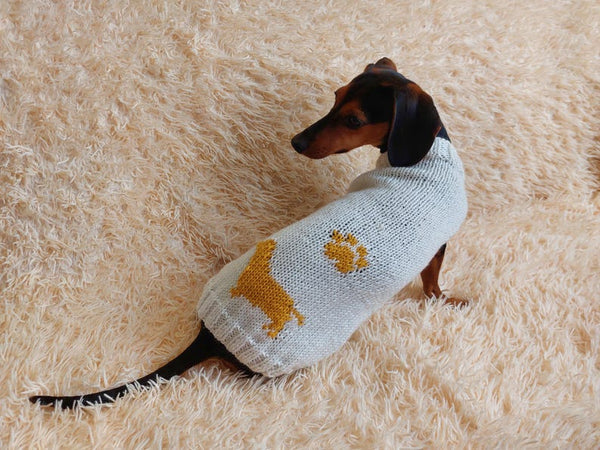 Pet clothes with dachshund and paw, warm handmade knitted sweater for dachshund with paw and dachshund pattern.