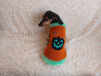 Dog costumes pumpkin sweater, dog costumes for halloween, pumpkin halloween costumes for pets, puppies, cat and dog sweater for halloween