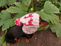 Dinosaur dog clothes pom pom hat, dinosaur hat for dachshund dog