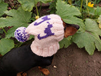 Dinosaur dog clothes pom pom hat, dinosaur hat for dachshund dog