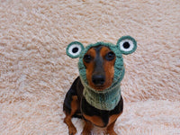 Snood hat for dog frog, dachshund snood frog