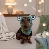 Snood hat for dog frog, dachshund snood frog