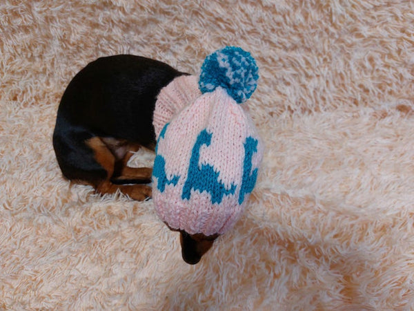 Dinosaur dog clothes pom pom hat, dinosaur hat for dachshund dog