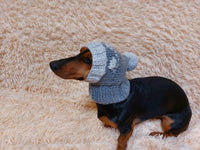 Paws clothes hat for dachshund or small dog,hat print paws with pom pom for dog,clothes with paws for dogs