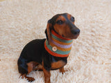 Warm winter woolen snood for dog - warm snood for dog with braid on the neck - clothes for a dachshund