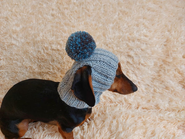 Pet clothes hat with open ears,gift for dog