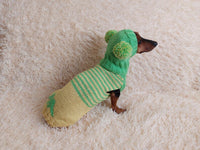 Dinosaur Dog Costume - Warm Wool Striped Dinosaur Costume with Two Big Pom Poms Pet Sweater and Hat Set Jumper and Hat for Dachshund or Dog