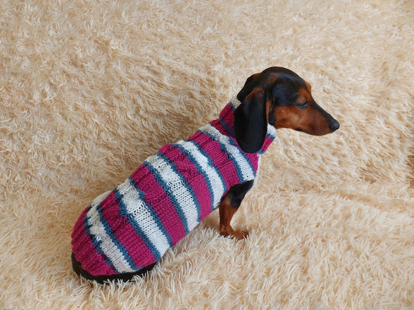 Dachshund clothes knitted sweater, knitted wool sweater for dachshund or small dog