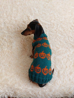 Dog costumes pumpkin sweater, dog costumes for halloween, pumpkin halloween costumes for pets, puppies, cat and dog sweater for halloween