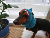 Shark knitted warm wool snood for dog