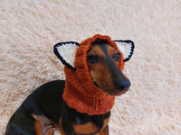 Fox dog clothes hat snood, dachshund snood fox