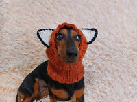 Fox dog clothes hat snood, dachshund snood fox