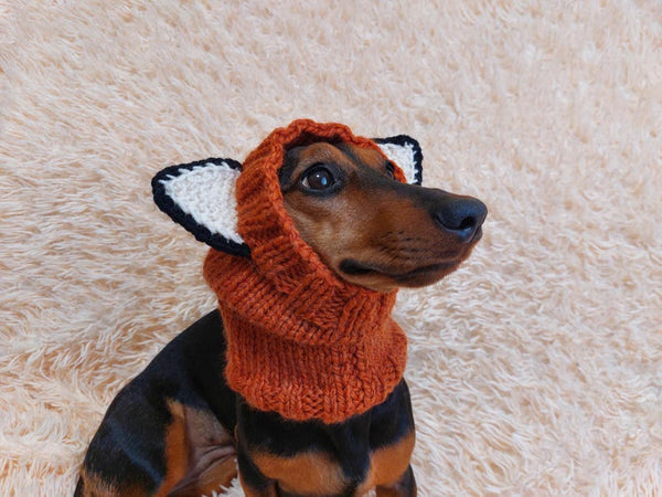 Fox dog clothes hat snood, dachshund snood fox