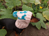 Dinosaur dog clothes pom pom hat, dinosaur hat for dachshund dog