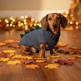 Dachshund dinosaur knitted sweater, dinosaur sweater for dogs, clothes dinosaur sweater for dogs