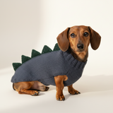Dachshund dinosaur knitted sweater, dinosaur sweater for dogs, clothes dinosaur sweater for dogs
