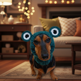 Snood hat for dog frog, dachshund snood frog