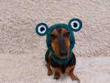 Snood hat for dog frog, dachshund snood frog