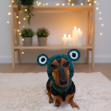 Snood hat for dog frog, dachshund snood frog