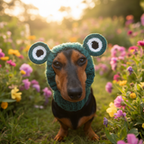 Snood hat for dog frog, dachshund snood frog