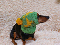 Dinosaur dog clothes pom pom hat, dinosaur hat for dachshund dog