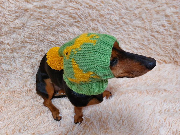 Dinosaur dog clothes pom pom hat, dinosaur hat for dachshund dog