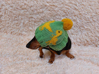 Dinosaur dog clothes pom pom hat, dinosaur hat for dachshund dog