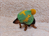 Dinosaur dog clothes pom pom hat, dinosaur hat for dachshund dog