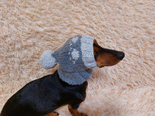 Pom pom dog hat best sale