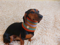 Warm winter woolen snood for dog - warm snood for dog with braid on the neck - clothes for a dachshund