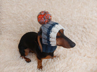 Pet clothes hat with open ears,gift for dog