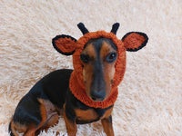 Giraffe dog clothes hat snood, dachshund snood Giraffe