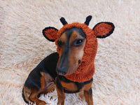 Giraffe dog clothes hat snood, dachshund snood Giraffe