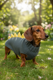 Dachshund dinosaur knitted sweater, dinosaur sweater for dogs, clothes dinosaur knitted sweater for dogs