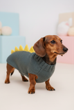 Dachshund dinosaur knitted sweater, dinosaur sweater for dogs, clothes dinosaur knitted sweater for dogs