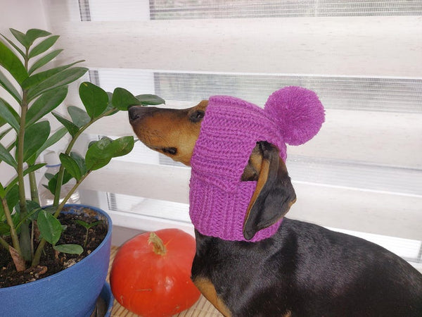 Hat for dog with pompom and holes for the ears