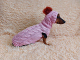 Costume for mini dachshund or small dog knitted sweater and hat