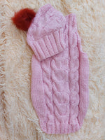 Costume for mini dachshund or small dog knitted sweater and hat