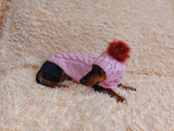 Costume for mini dachshund or small dog knitted sweater and hat