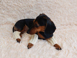 5 color Angora wool dog leggings, dachshund leggings, warm dog paws, warm dachshund paws, dog clothes leggings, dachshund clothes leggings